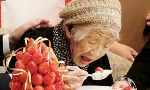 World&rsquo;s oldest person dies in Japan at 119