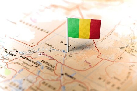 Mali says 203 militants killed in operation in Sahel state