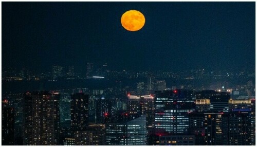 Fly me to the Moon: US, Japan aim for lunar landing