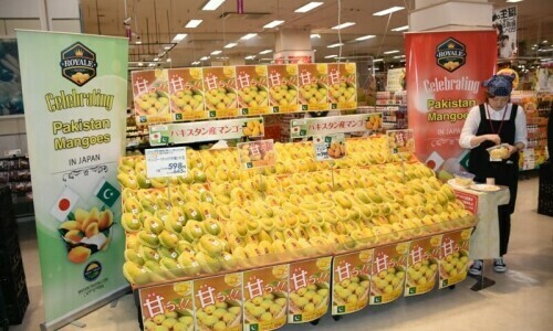 Japan savours first batch of Pakistani mangoes