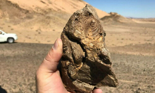Saudi Arabia discovers 80 million-year-old sea lizard fossil
