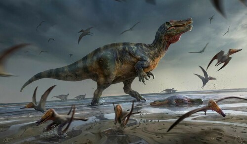 Europe&rsquo;s largest meat-eating dinosaur found on Isle of Wight
