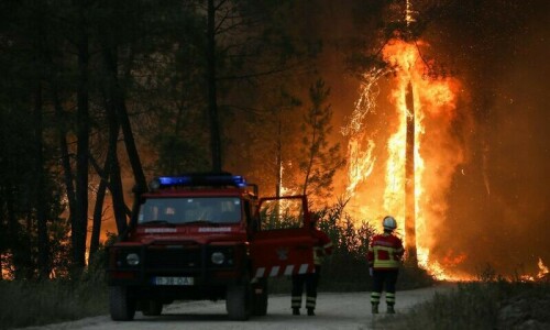 Scorching heat wave sparks wildfires in Europe
