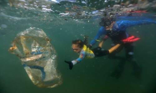 Faster growth may help bacteria remove lake plastic waste