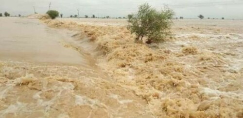 Heavy rains claim another 14 lives in last 24 hours