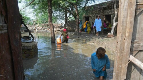 &lsquo;Burning with pain&rsquo;: Floods threaten major health crisis in Sindh