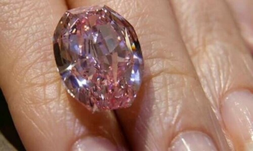 Pink diamond sells for nearly $58m in Hong Kong