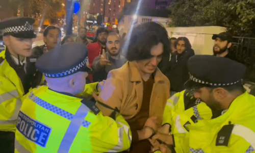 PTI protester released after brief detention in London