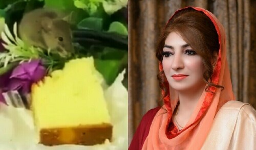 Viral video: Rodent with a sweet tooth and Balochistan&rsquo;s top bureaucrat