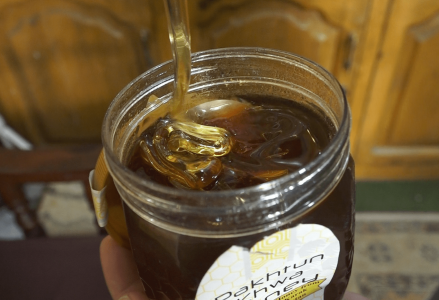 Honey, not tonight: Hundreds of Pakistan bee farms swept away in floods