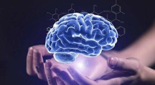 I took the University of Cambridge brain type test and don&rsquo;t feel bad any more