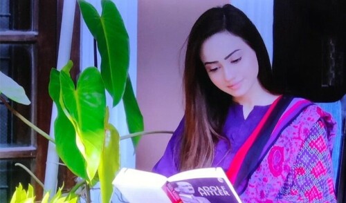 Why was Mein Kampf in this Pakistani drama scene?