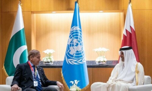 Qatar vows to continue supporting Pakistan in its development agenda