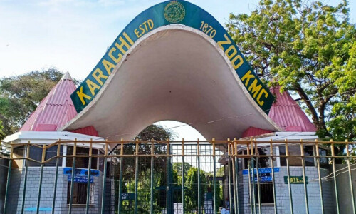 Karachi Zoo animals starve for second consecutive day amid fight over money