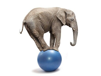 Let us forget about Pakistan&rsquo;s economy today until tomorrow