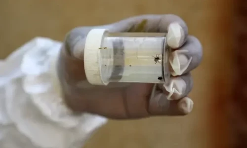Man dies of Congo virus in Karachi