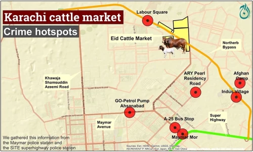 Crime hotspots around Karachi&rsquo;s main cattle market