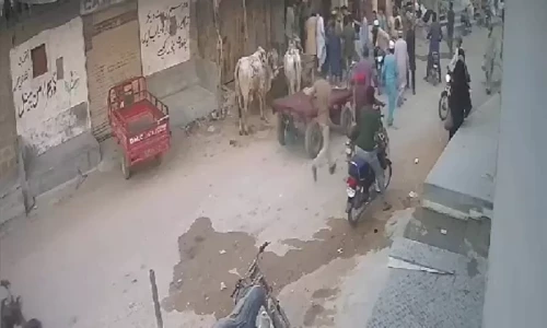 Minor dies after dragged by sacrificial animal in Karachi