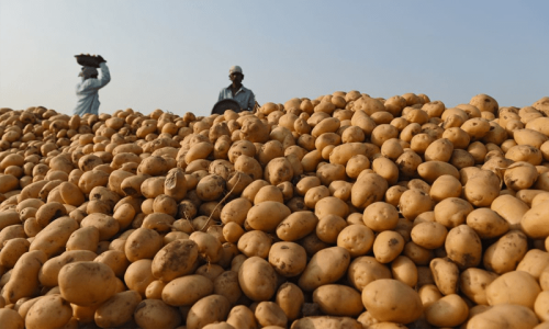 Why Pepsi is fighting India over potatoes
