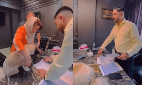 Iran man arrested for selling property to dog