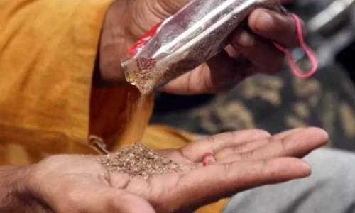 Sindh health minister bans use of gutka, cigarette during duty hours