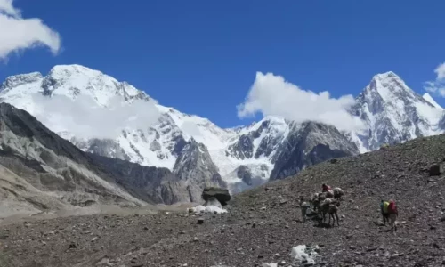 Feted Russian climber feared dead in fall from Pakistan peak
