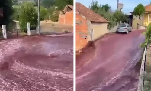 Portugal streets turned blood red after winery tanks burst