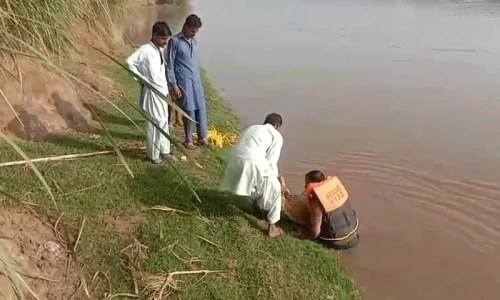 Woman dies after jumping into canal in Pattoki