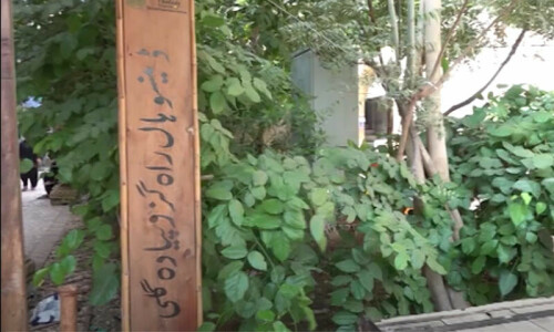 &lsquo;Denso Hall Rah Guzro Piyada Gali&rsquo;: A carbon free street in Karachi