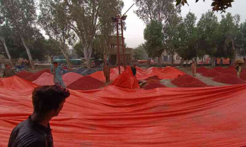 Asia&rsquo;s largest spice market faces severe setback amid rainfall