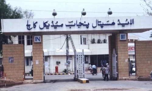 Man injured by pet lion escapes from hospital in Faisalabad