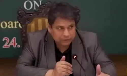 Punjab minister refutes reports of US delegation, Imran Khan meeting in jail