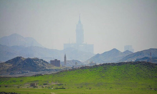 Makkah mountains turn into pasture with unusually long grass