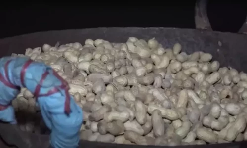Prices of peanuts soar with advent of winter season