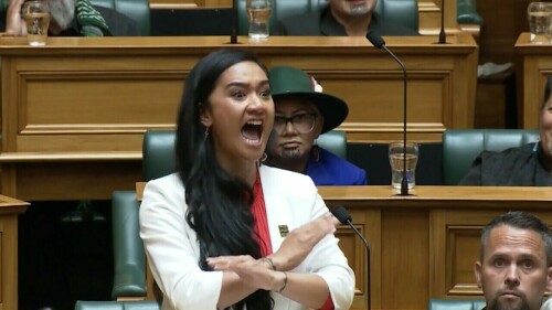 New Zealand&rsquo;s youngest MP goes viral after performing Haka in parliament