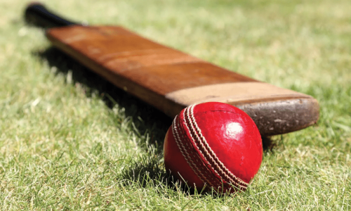 Indian cricketer dies after being hit by ball