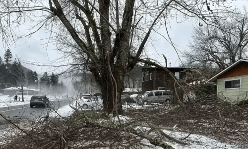 Downed power line kills three but baby in diapers survives in Oregon