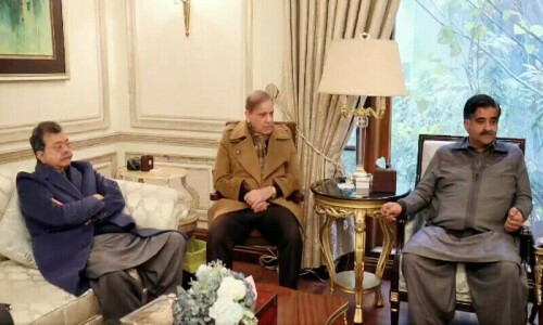 Warring PMLN factions smooth over differences