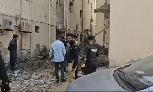 Karachi teen kills young cousin after watching Indian movie &lsquo;Animal&rsquo;