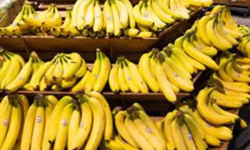 Climate change could wipe out bananas from the world