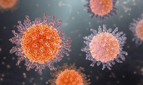 Humans give more viruses to animals than they give us, study finds