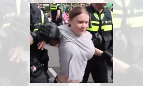 Fact check: Was that picture of Greta Thunberg manipulated?