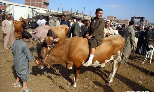 Experts predict Eid-ul-Azha date