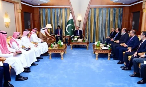 Pakistan, Saudi Arabia vow to boost bilateral economic ties