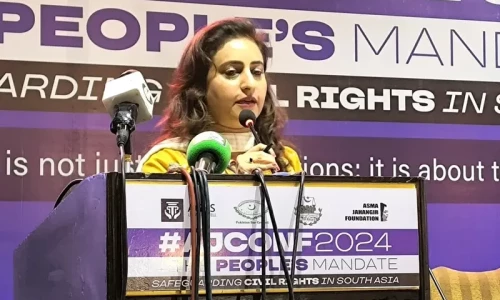 Asma Jahangir conference management denies beating up Gaza protesters