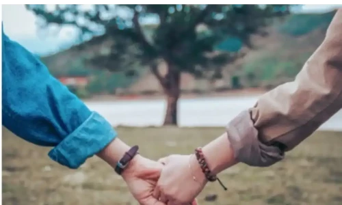 Friendship-marriage gains popularity in Japan