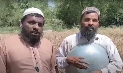 Blind brothers show the flag for farmers protesting against wheat crisis