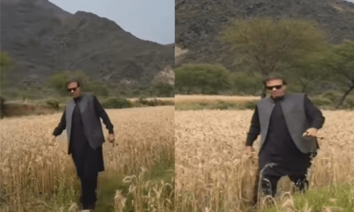 Video showing Imran Khan&rsquo;s lookalike goes viral