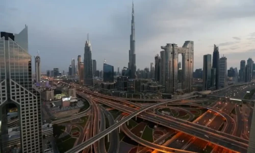 UAE will grant 10-Year Blue Residency to environmental advocates