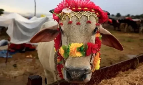 Here&rsquo;s your guide to Eid wishes, messages